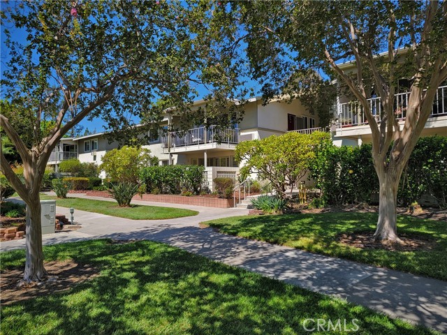 Photo of 224 Avenida Majorca