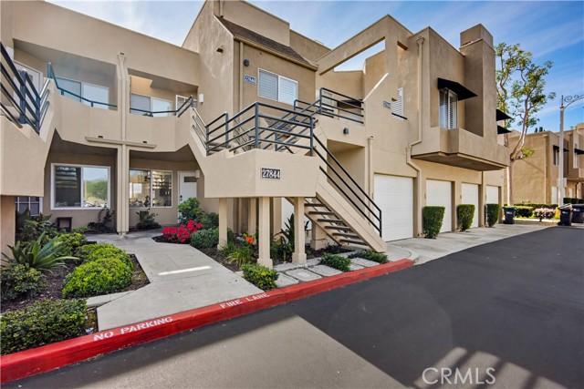 Photo of 27844 Violet