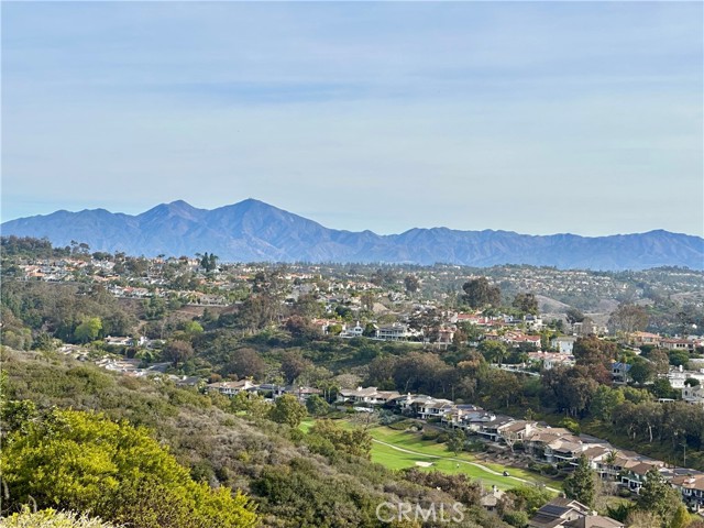 Property photo of 32252 Azores RD