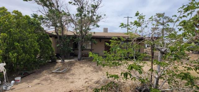 Property photo of 58637 Sun Oro Rd