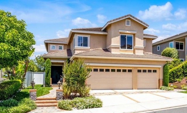 Photo of 77 Rockrose