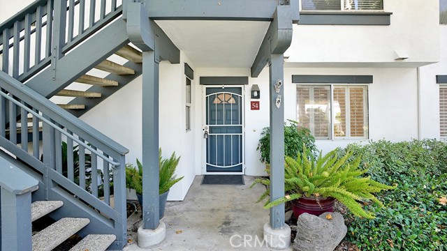 Photo of 54 Lobelia