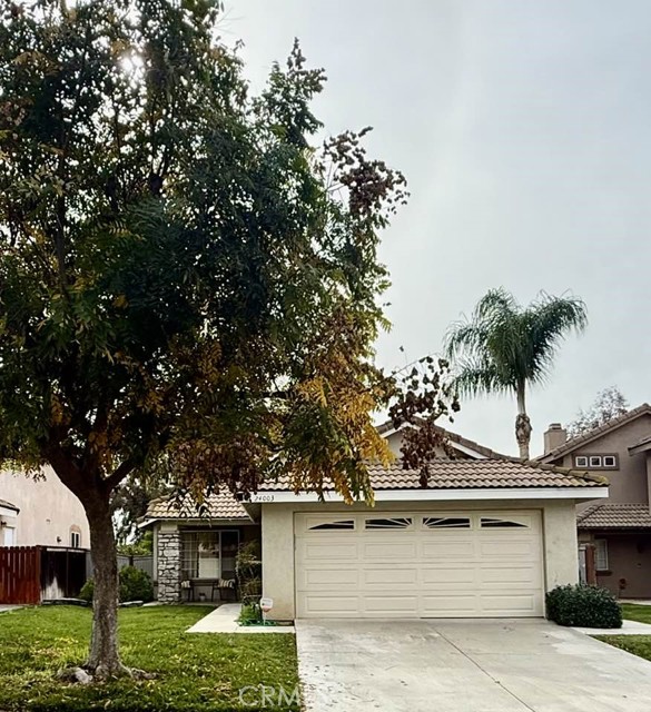 Photo of 24003 Whistling Swan