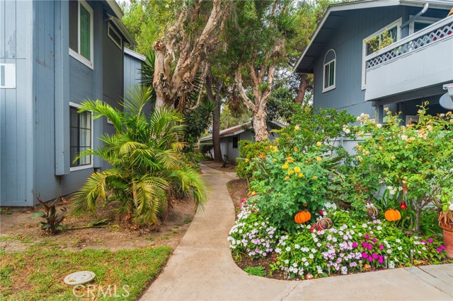 Property photo of 32221 Alipaz