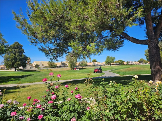 Property photo of 1127 Riviera AV