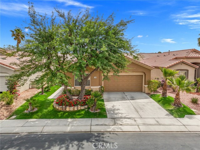 Property photo of 37388 Medjool