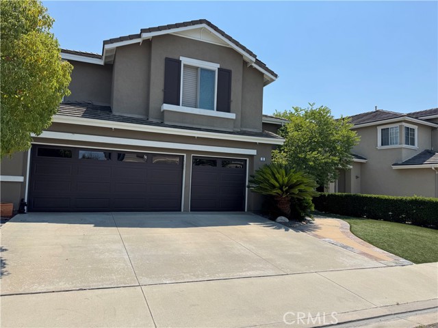 Photo of 32 Rockrose
