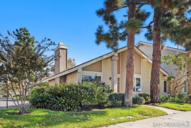 Photo of 14 Dragonfly